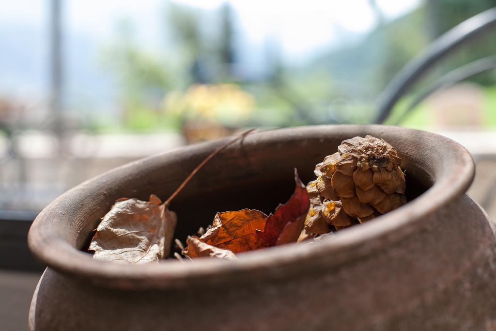 Agriturismo Maso Lizzone Dro Bagian luar foto