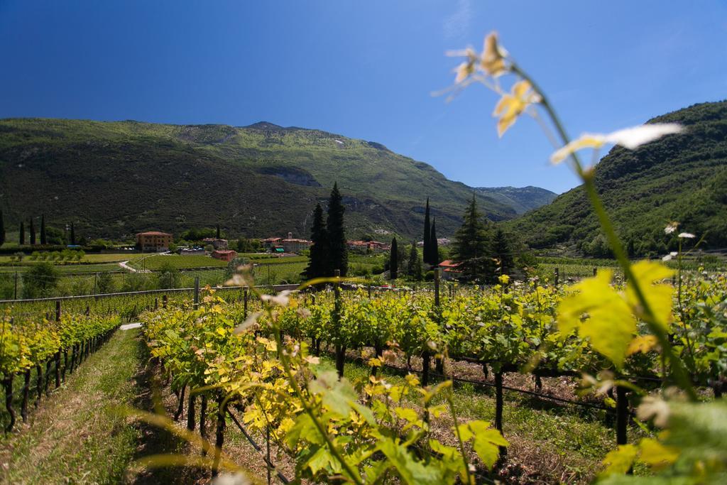Agriturismo Maso Lizzone Dro Bagian luar foto